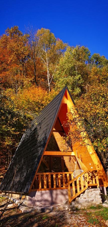Casa - Cabana Tip A Frame, Cerna, Vaideeni, Valcea Cerna  ภายนอก รูปภาพ