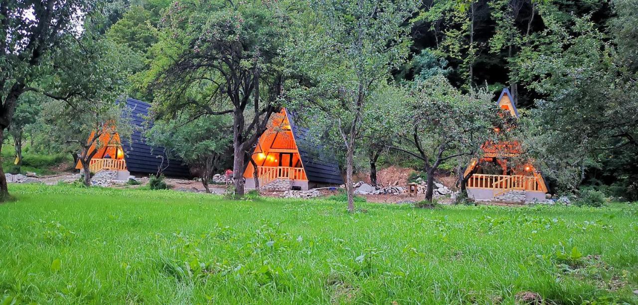 Casa - Cabana Tip A Frame, Cerna, Vaideeni, Valcea Cerna  ภายนอก รูปภาพ