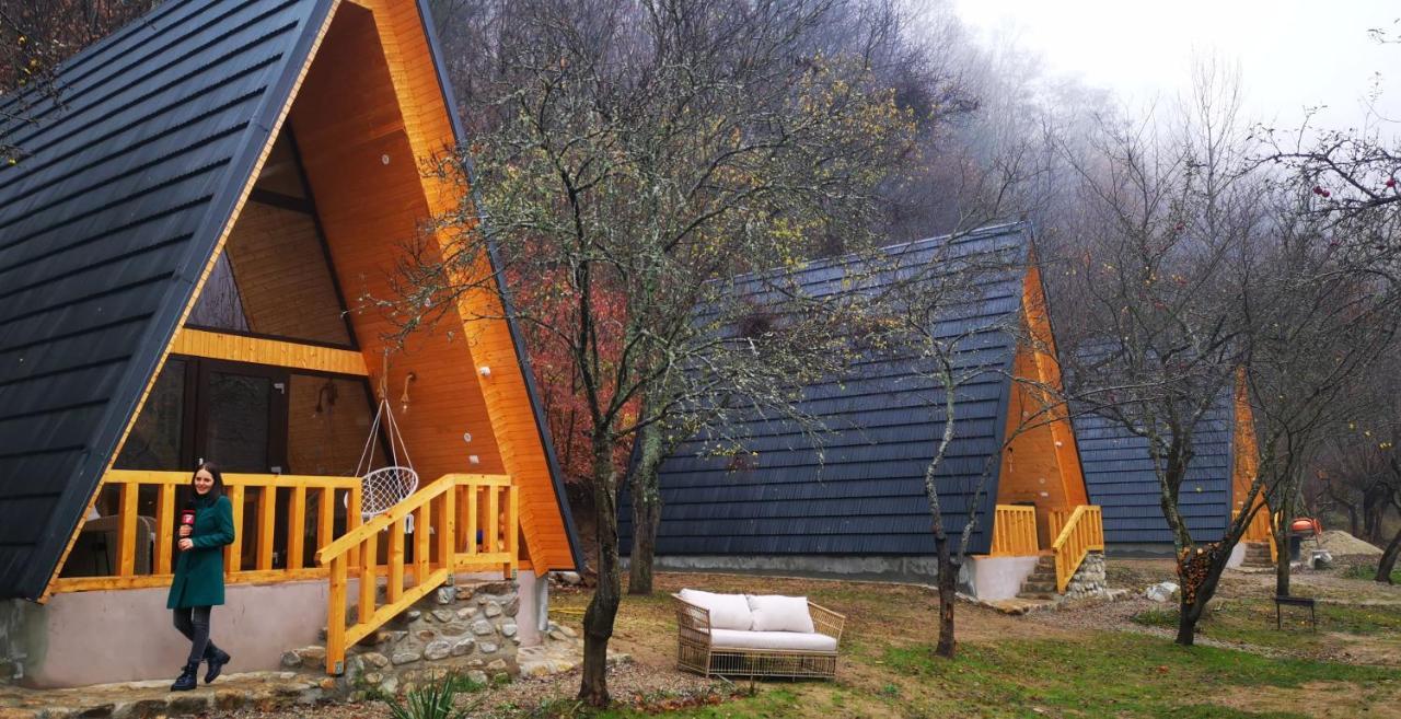 Casa - Cabana Tip A Frame, Cerna, Vaideeni, Valcea Cerna  ภายนอก รูปภาพ
