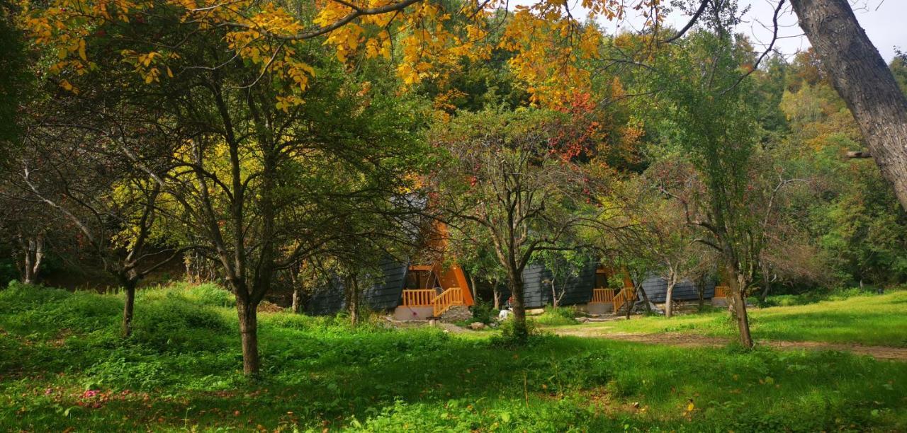 Casa - Cabana Tip A Frame, Cerna, Vaideeni, Valcea Cerna  ภายนอก รูปภาพ